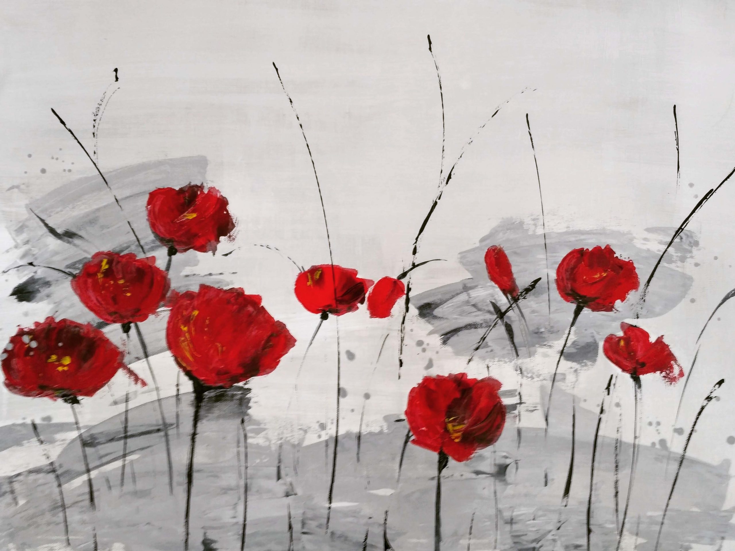 klatschmohn2-scaled.jpg